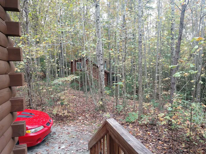 Love Bird Cabin Picture 8