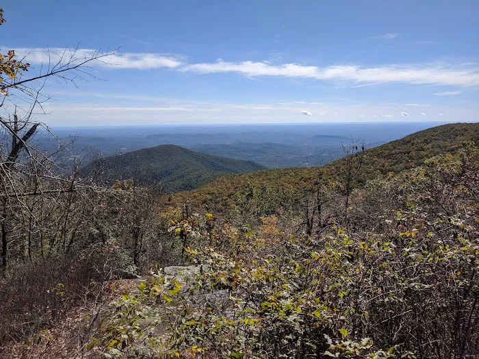 Tray Mountain AT Shelter Picture 1