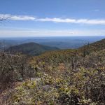 Tray Mountain AT Shelter