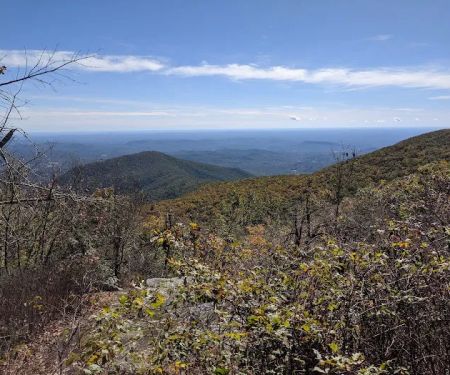 Tray Mountain AT Shelter