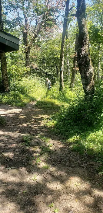 Tray Mountain AT Shelter Picture 6