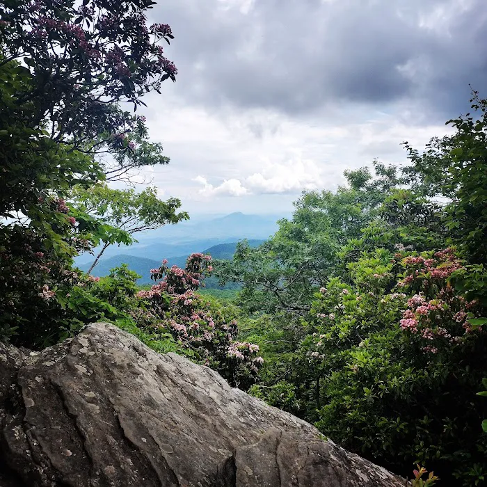 Tray Mountain AT Shelter Picture 9