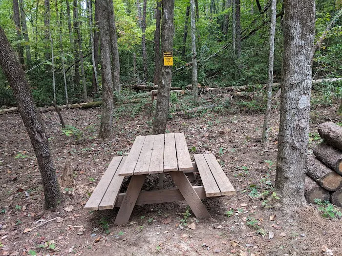 54 Whispering Pines Ln, Sautee Nacoochee, GA 30571 Picture 8