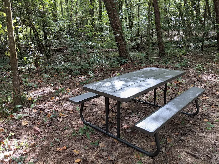 54 Whispering Pines Ln, Sautee Nacoochee, GA 30571 Picture 7