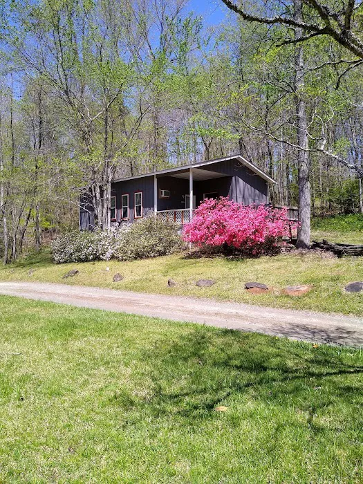 Hickorynut Cove Campgrounds Picture 1