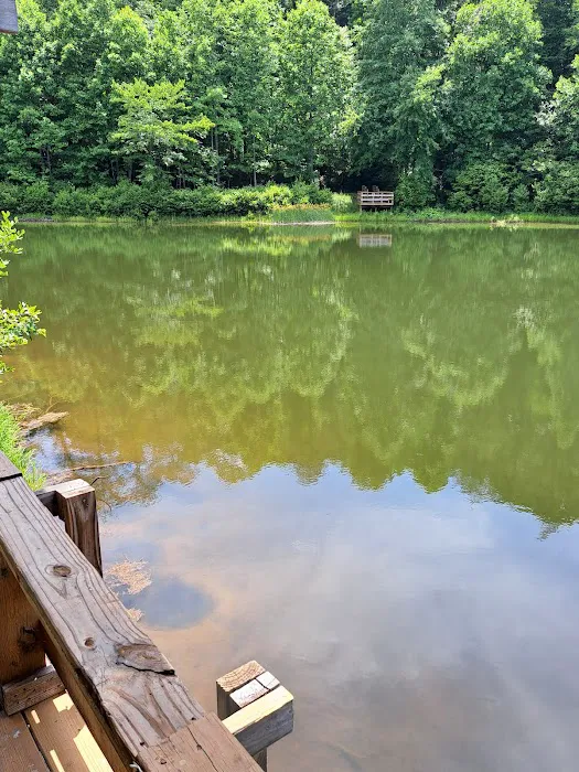 Hickorynut Cove Campgrounds Picture 4