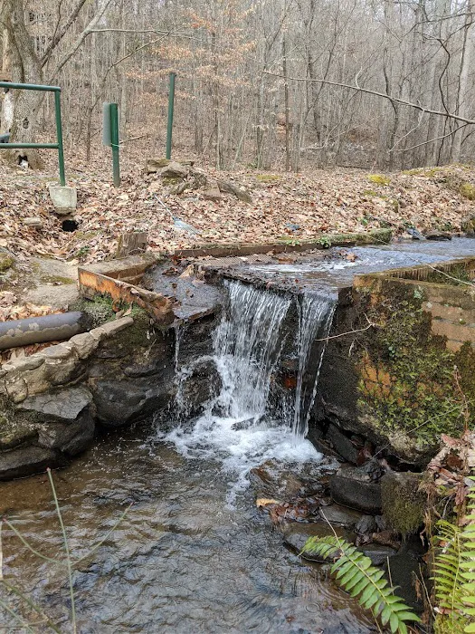 Hickorynut Cove Campgrounds Picture 6