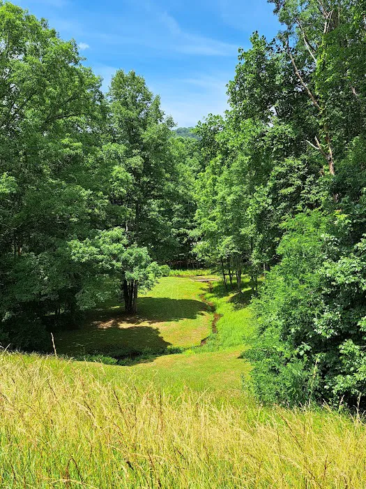 Hickorynut Cove Campgrounds Picture 8