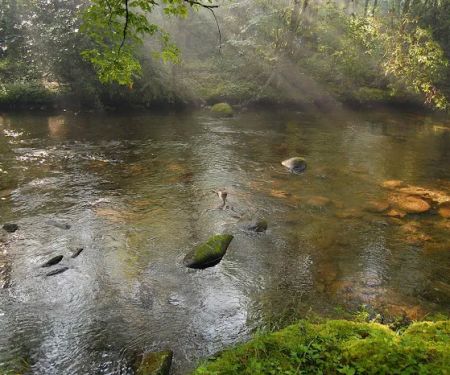 Smokemont Campground