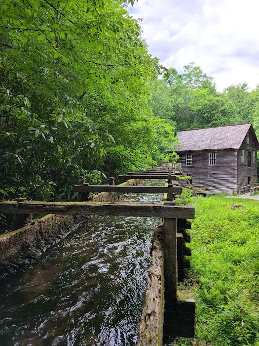 Smokemont Campground Picture 3