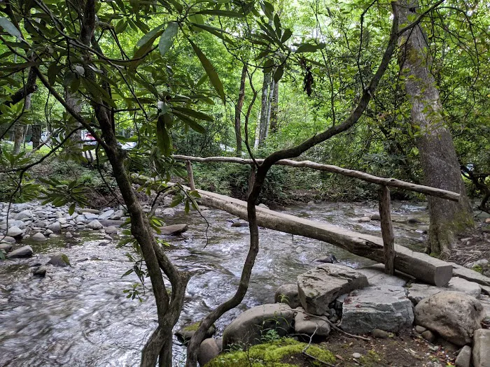 Smokemont Campground Picture 6