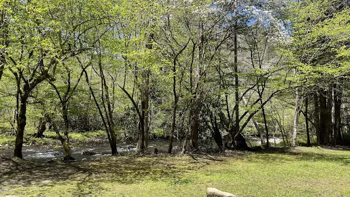 Smokemont Campground Picture 7