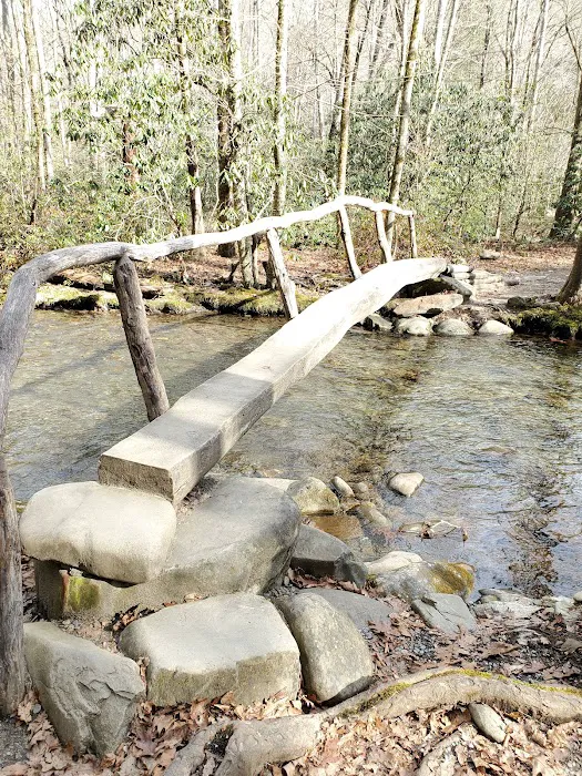 Smokemont Campground Picture 9