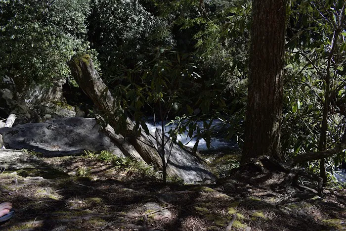 Backcountry Camp 48 Picture 1