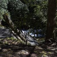 Backcountry Camp 48 ico