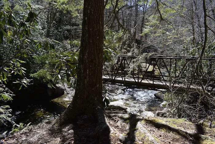 Backcountry Camp 48 Picture 2