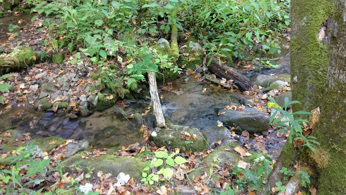 Backcountry Camp 48 Picture 6