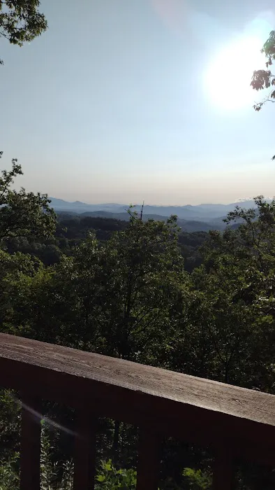 I Love View (Hearthside Cabin Rentals) Picture 5