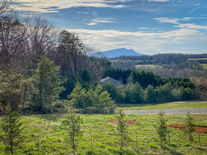 Jayell Ranch Cabin Rentals Picture 2