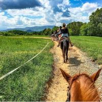 Jayell Ranch Cabin Rentals ico