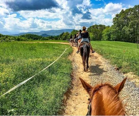 Jayell Ranch Cabin Rentals