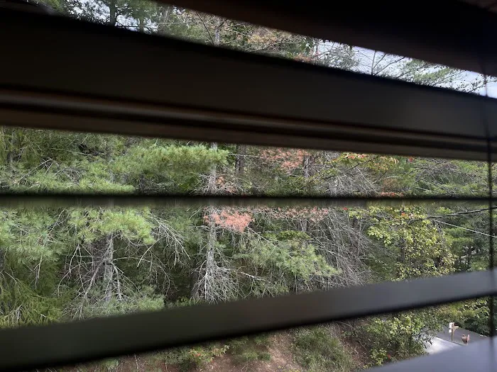 At Wild Turkey Picture 4