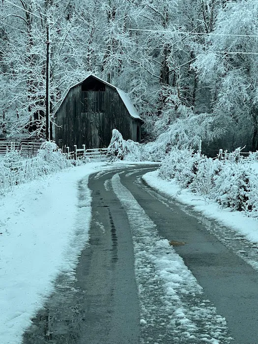 Firefly Ridge Cabin of Townsend Picture 7