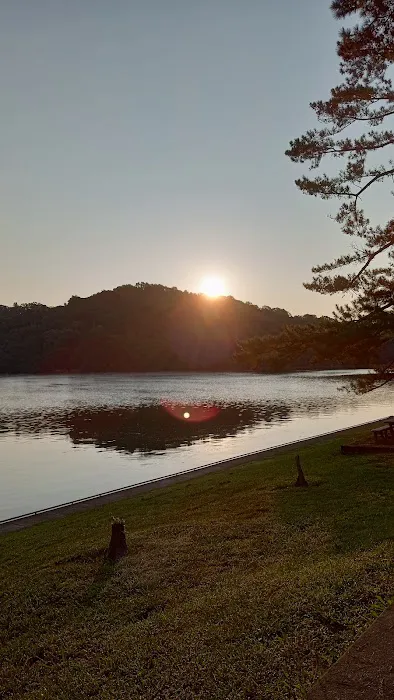 Melton Hill Dam Campground Picture 8