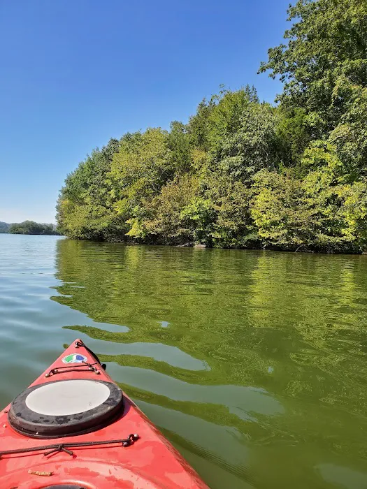 Lotterdale Cove Picture 7