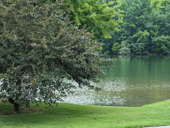 Lotterdale Cove Picture 5