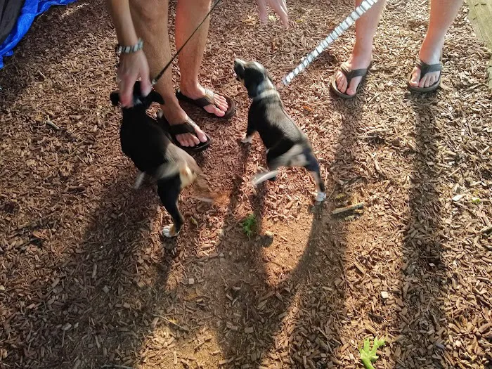 Lotterdale Cove Picture 9