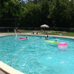 The Crosseyed Cricket