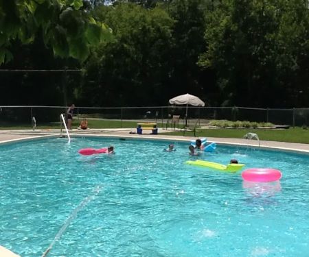 The Crosseyed Cricket