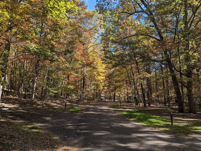 Look Rock Campground Picture 3