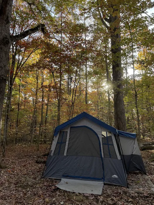 Look Rock Campground Picture 9