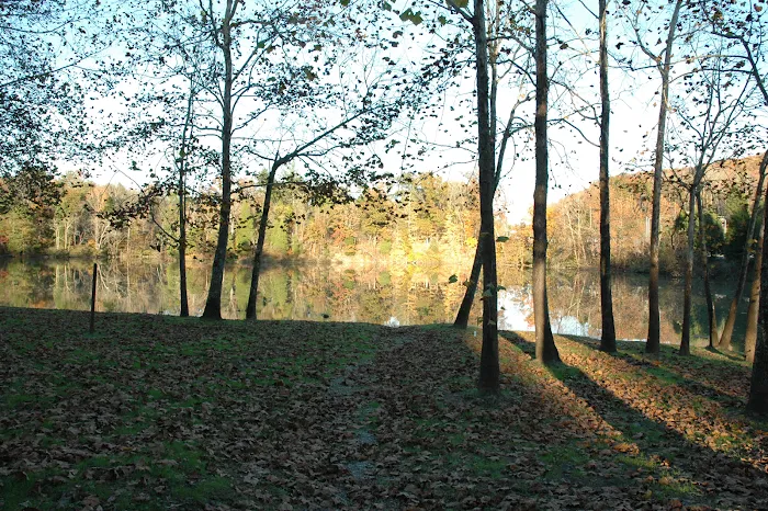 Soaring Eagle Campground Picture 3