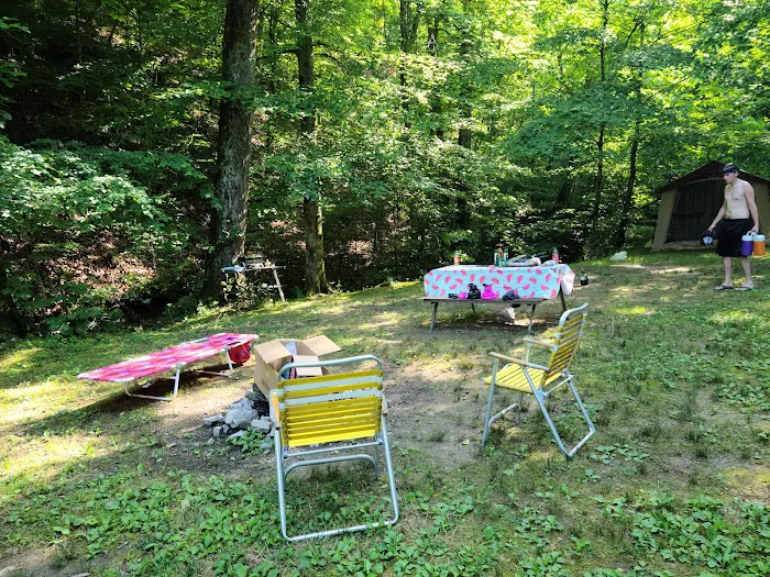 Soaring Eagle Campground Picture 10