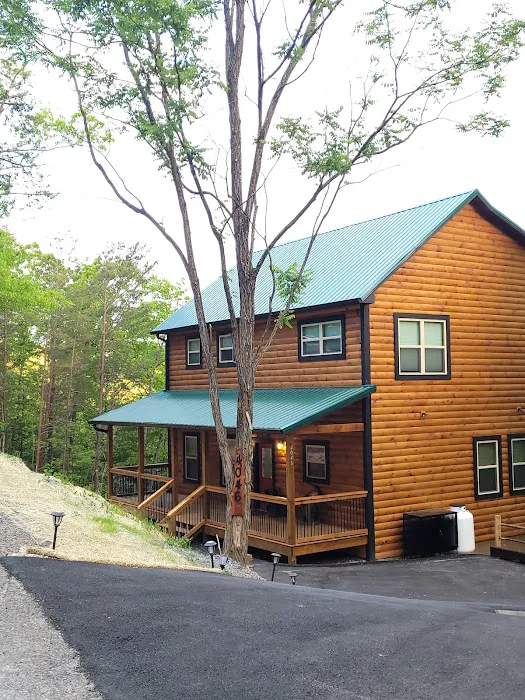 Enchanted seclusion cabin Picture 1