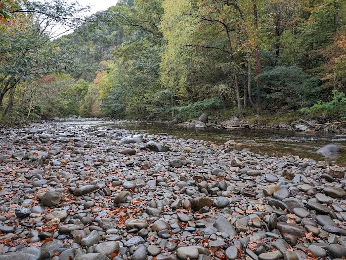 Vee Hollow Campground Picture 8