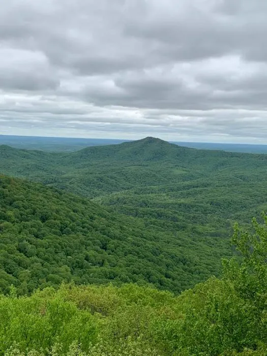 Gobey Mountain Getaway Picture 3