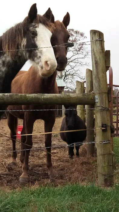 Zenith Stables & Campground Picture 3