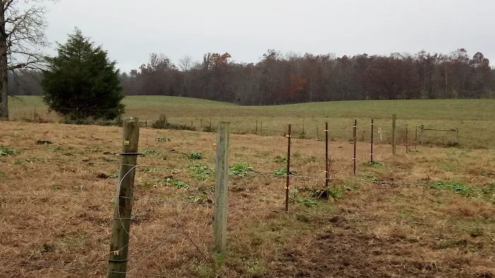 Zenith Stables & Campground Picture 5