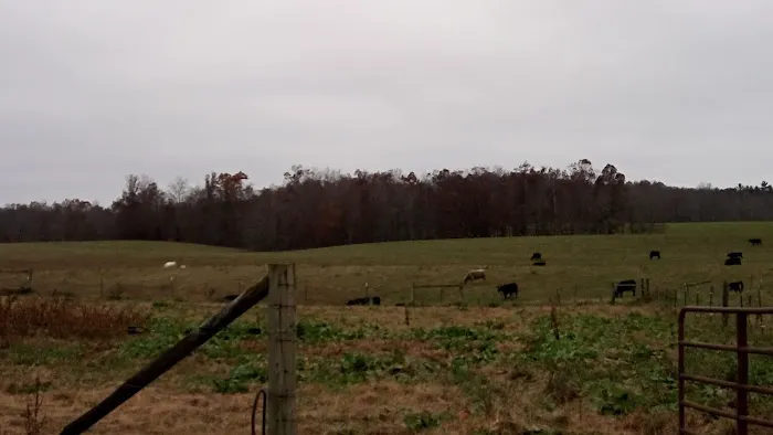 Zenith Stables & Campground Picture 4