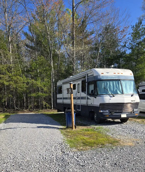 Lone Mountain RV and Campground Picture 5