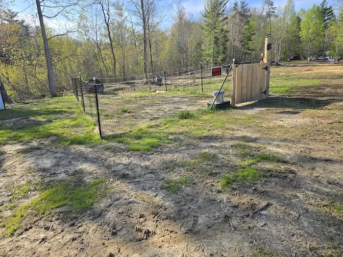 Lone Mountain RV and Campground Picture 8