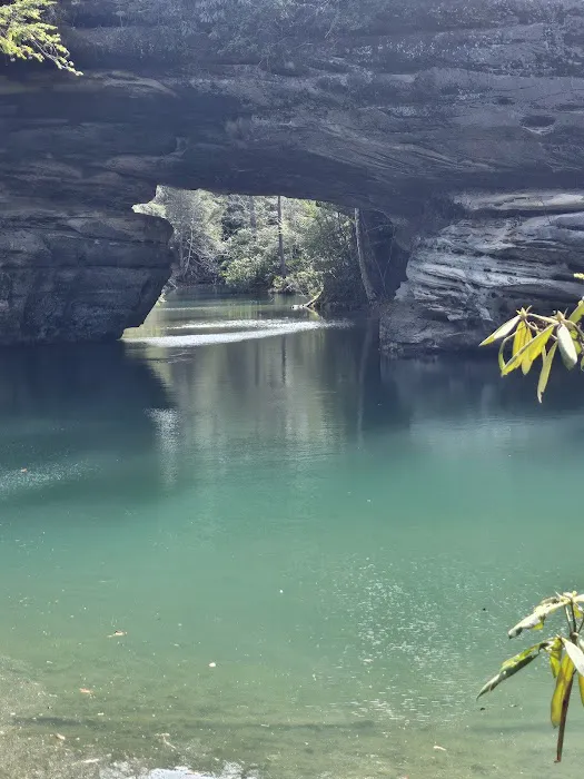 Pickett State Park Cabins Picture 1