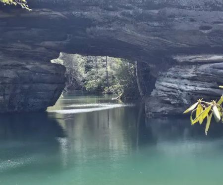 Pickett State Park Cabins