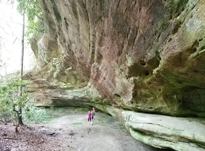 Pickett State Park Cabins Picture 6