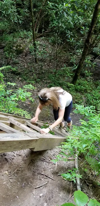 Pickett State Park Cabins Picture 8