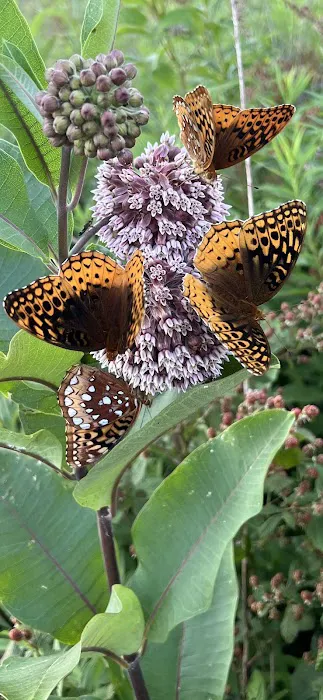 Astronomy Field Picture 3